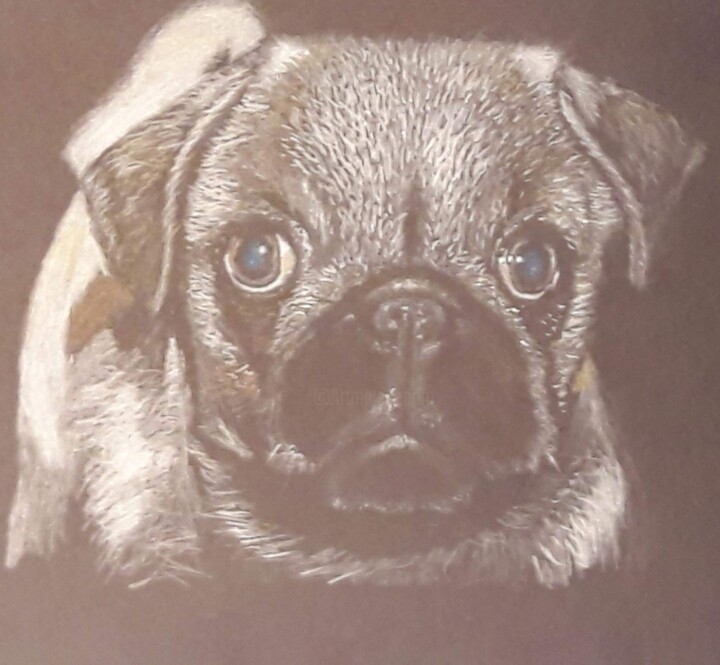 Fifi 图画