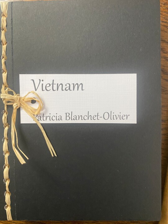 Carnet de voyage au Vietnam (original) 图画, 8.3x6.3 in