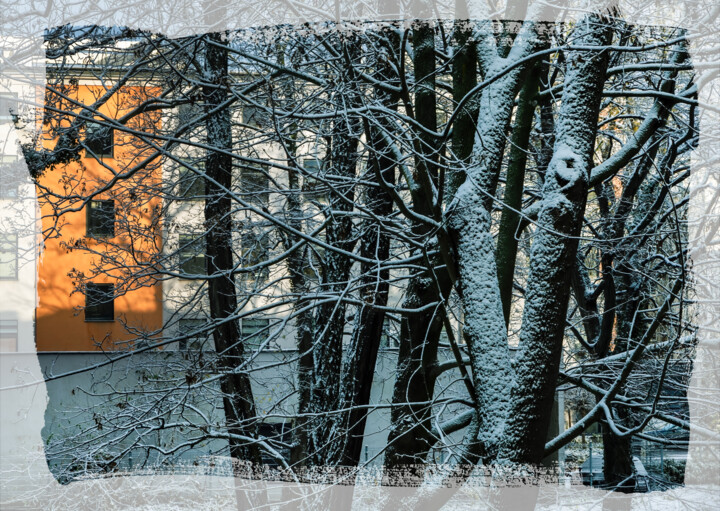 The second snow III 摄影