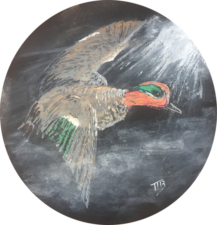 Dessin intitulée "Sarcelle d'hiver" par M Batté Gauthier, Œuvre d'art originale, Stylo gel