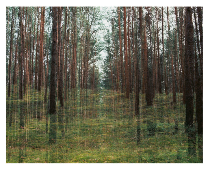 摄影,  51.2x63 in 