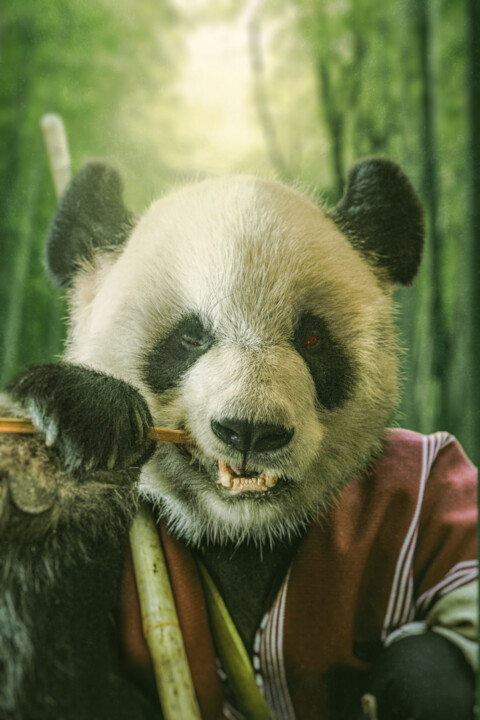 kung fu panda bamboo eater 数字艺术
