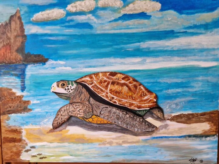 Galapagos Island Kolaj, 19,7x27,6 in