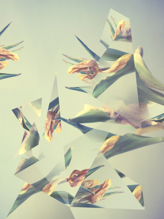 Digital Arts titled "Arista X" by Ivan Cordoba, Original Artwork, Manipulated Photography