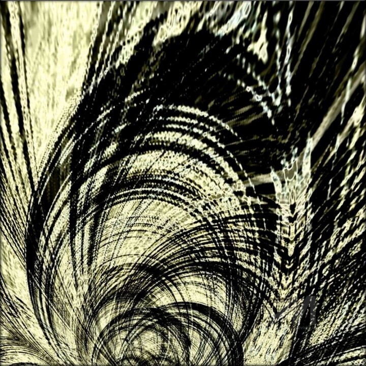 VARIATION "378" 摄影