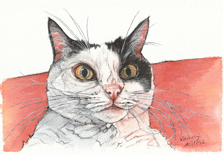 Freitagskatze 57 Selfie Tekening, 7,1x10,2 in