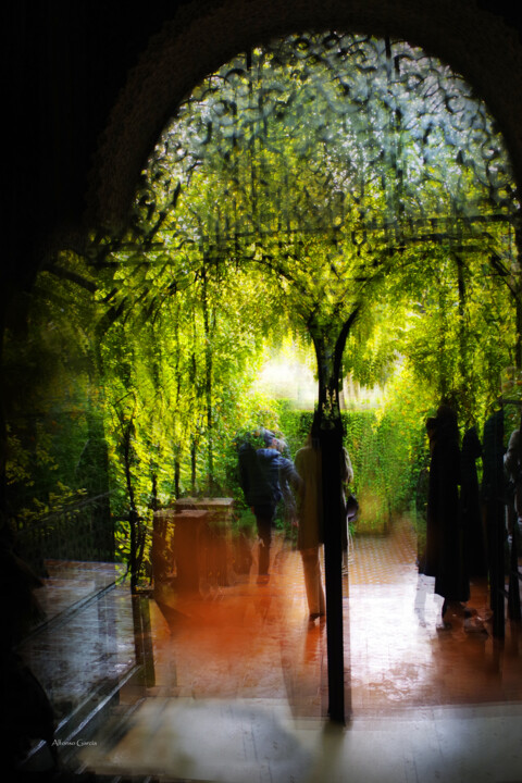 El Alcazar de Sevilla con lluvia 数字艺术