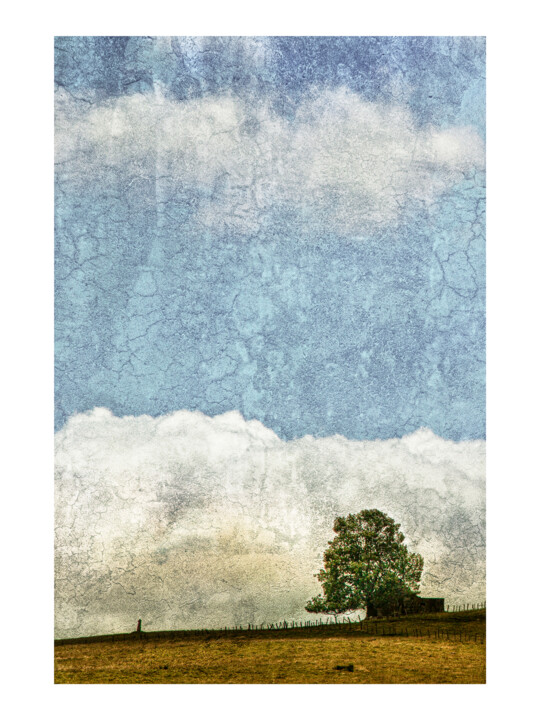 Aubrac 摄影, 15.8x11.8 in