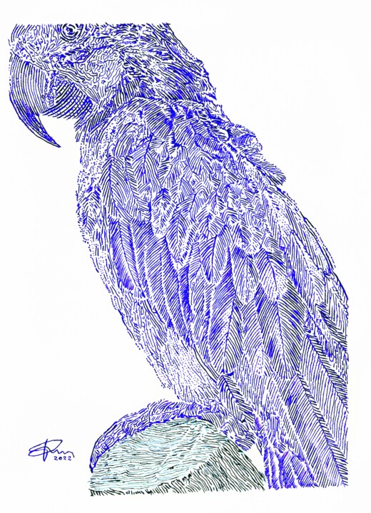 Pappagallo 图画, 13x9.5 in