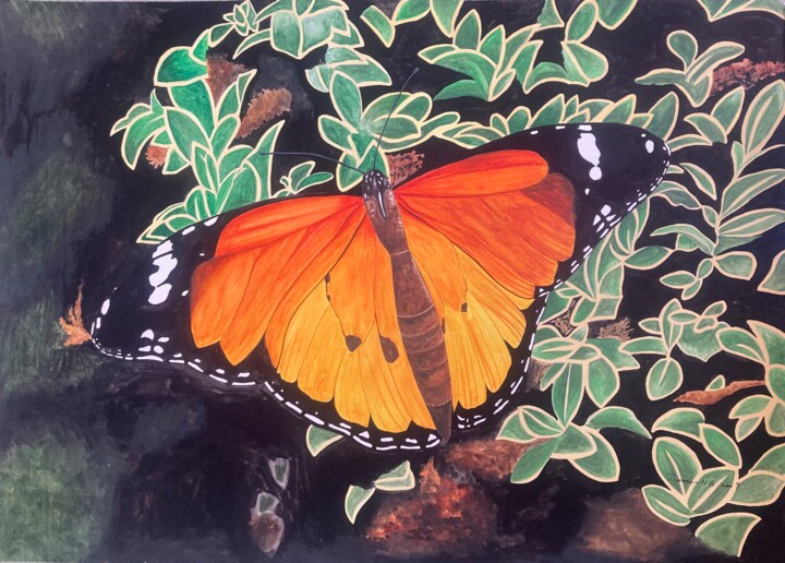 金斑蝶 Danaus chrysippus Tablo, 19,7x27,6 in