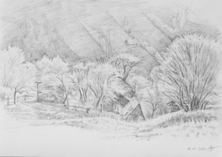 图画,  11.7x16.5 in 