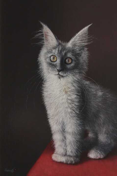 Chaton Maine Coon 绘画, 13x8.7 in