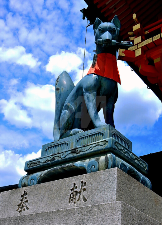 Japan - The Lucky Dog 摄影