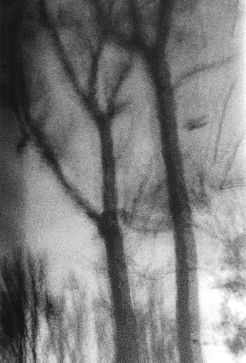 Two solitudes Фотография