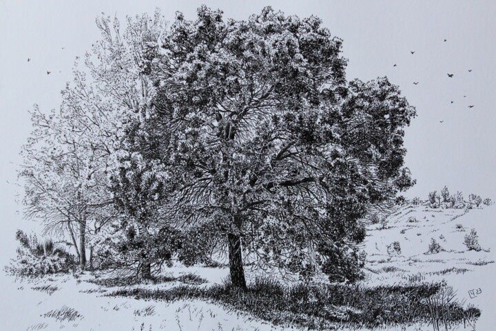 Elm / Вяз Resim, 8,3x11,4 in