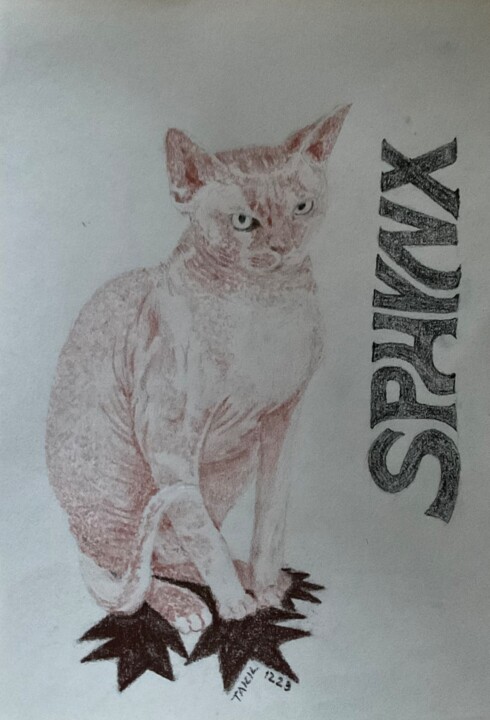 Sphinx 图画, 11.7x8.3 in