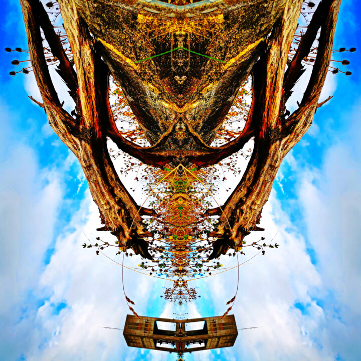 Tour de Scarabé 摄影, 15.8x15.8 in