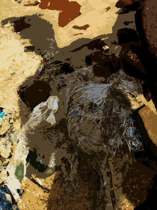 Photographie intitulée "Matrice Ii" par Borrel, Œuvre d'art originale, Photographie numérique