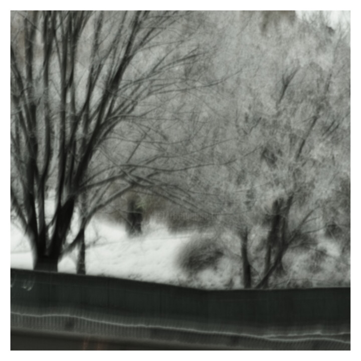 Winter Park (Dream of 23.XII.2023) 摄影
