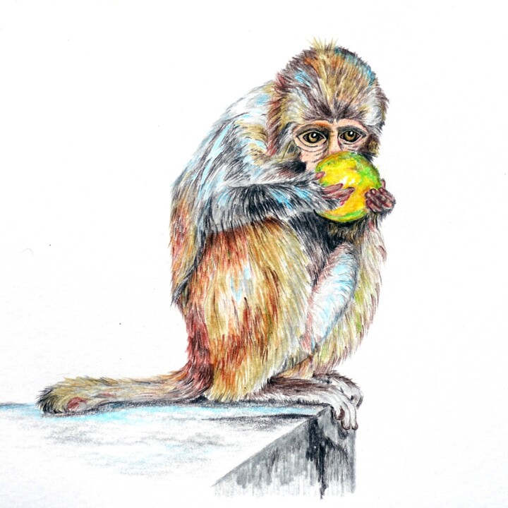Thief Monkey 图画, 5.6x6.2 in