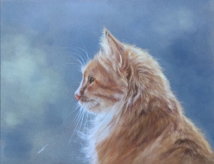 Chat ensoleillé 图画, 10.6x13.8 in