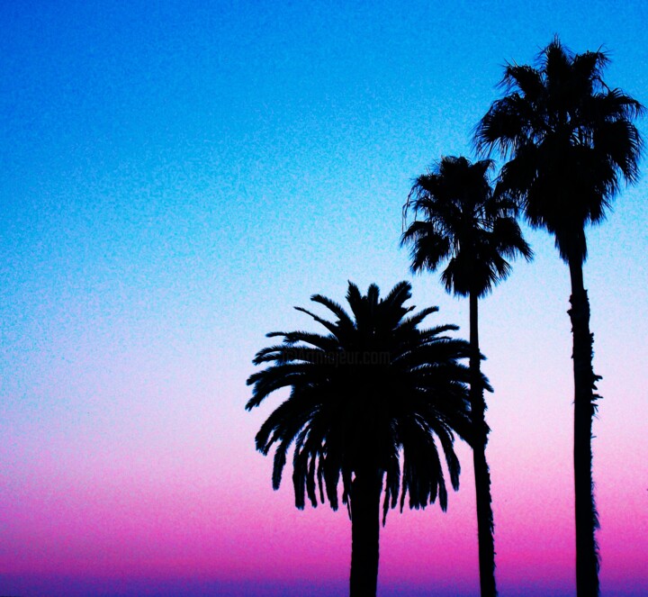 Cali Palms 2024 数字艺术