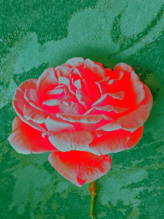 Photographie intitulée "Fluorescence" par Béatrice Marie Penaud, Œuvre d'art originale, Photographie numérique
