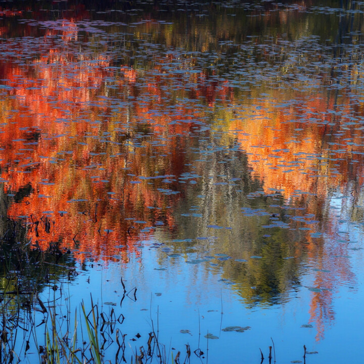 "Chesham Pond" başlıklı Fotoğraf Bavosi Photoart tarafından, Orijinal sanat, Dijital Fotoğrafçılık