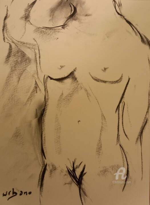 图画,  16.1x11.8 in 