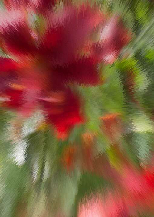 Red lilies 数字艺术
