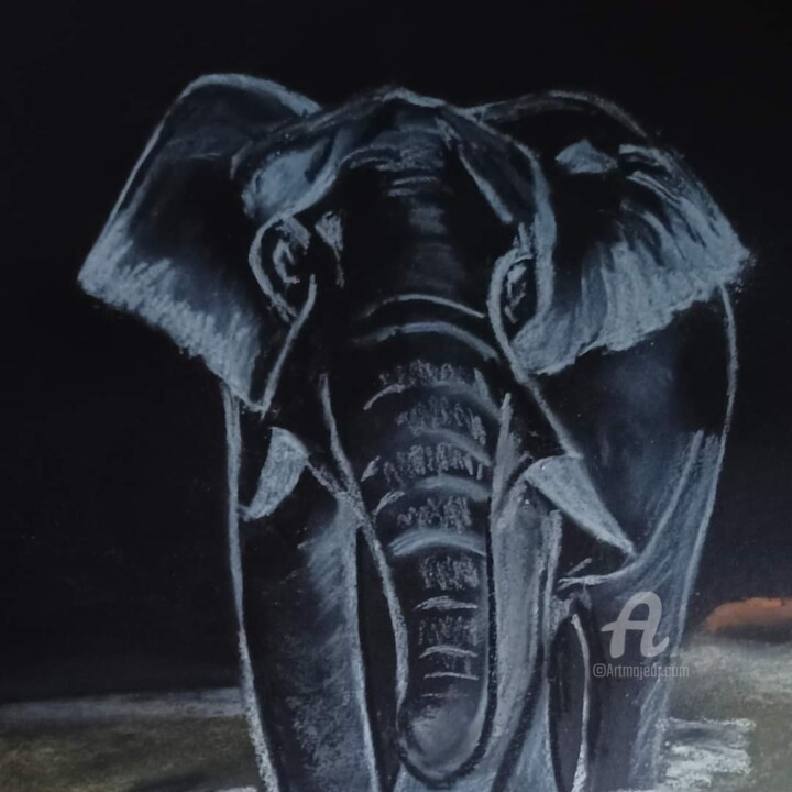 L’éléphant 图画, 16.7x13 in