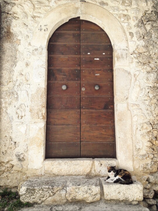 Gatto su pietra - pt. 2 Fotoğraf