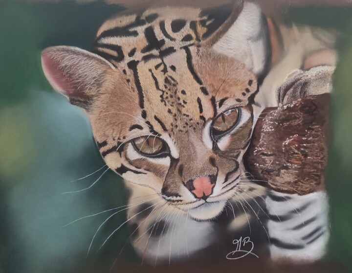 L'ocelot 绘画, 15.2x19.5 in