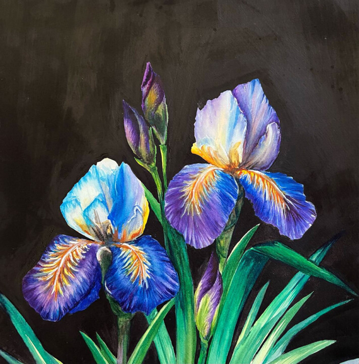 Iris of the night 绘画, 12.6x12.6 in