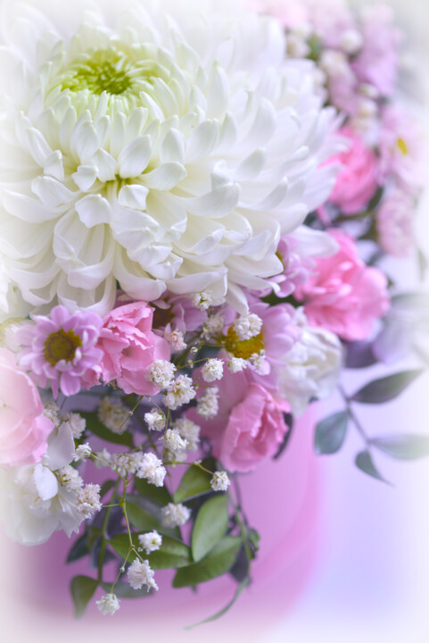 Flowerissimo_12956 摄影