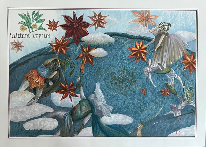 Anice stellato 图画, 19.7x27.6 in