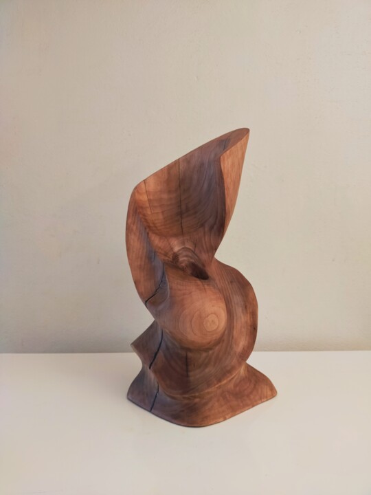 Ceviz 雕塑, 16.5x7.5 in