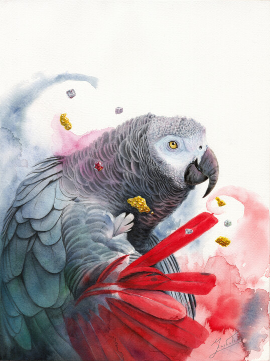 Jacquot parrot 绘画, 18.9x14.2 in