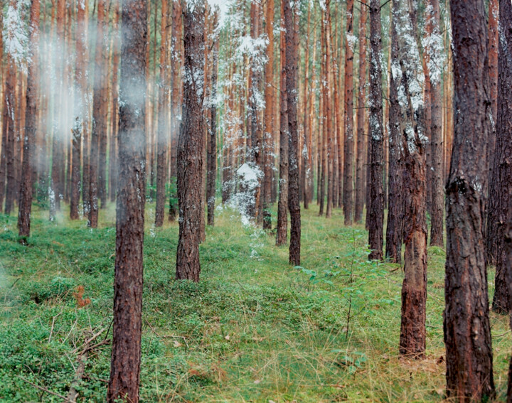 Photography titled "ABSTRACTION DES COL…" by Martin Ecker, Original Artwork, Analog photography