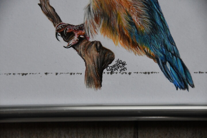 Additional views 4