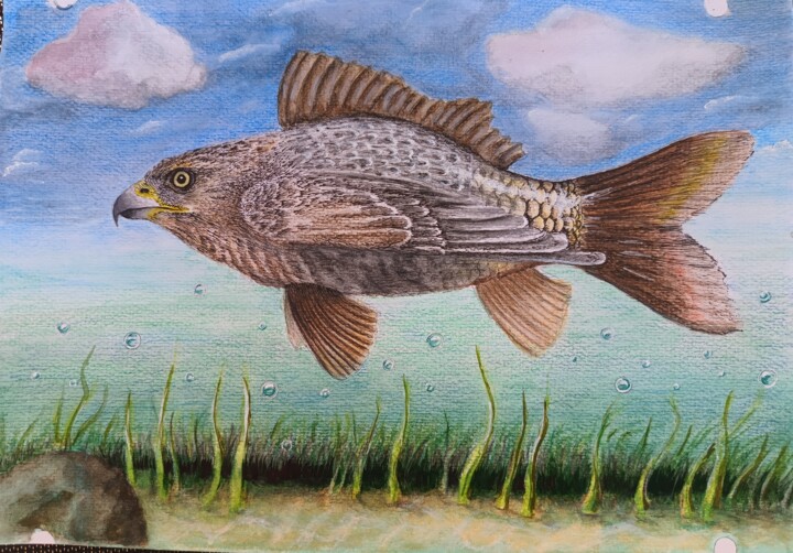 Hawkfish 图画, 8.3x11.7 in