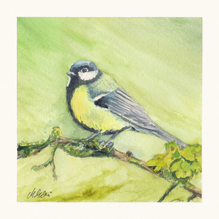 Polish birds - Cyanistes caeruleus 绘画, 7.9x7.9 in
