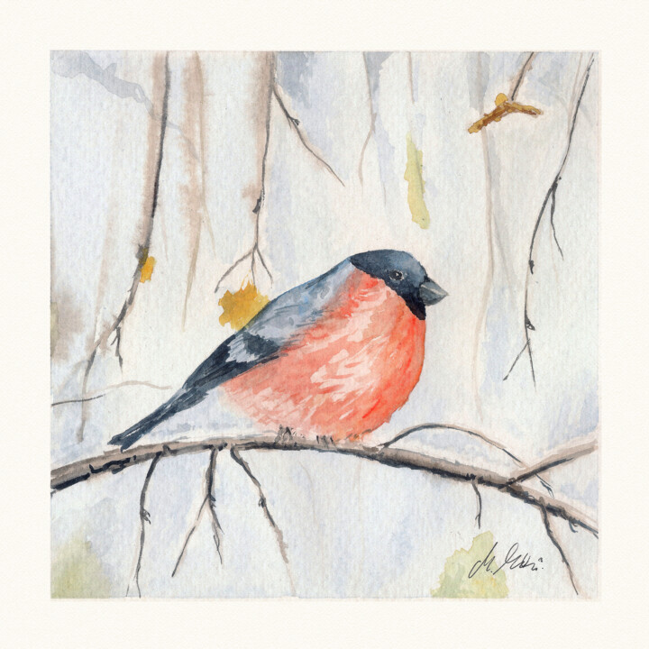 Polish birds - Pyrrhula pyrrhula 绘画, 7.9x7.9 in