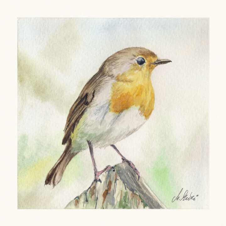 Polish birds - Erithacus rubecula Painting, 7.9x7.9 in