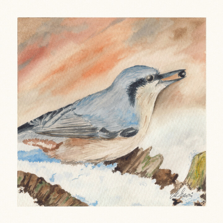 Polish birds - Sitta europaea 绘画, 7.9x7.9 in