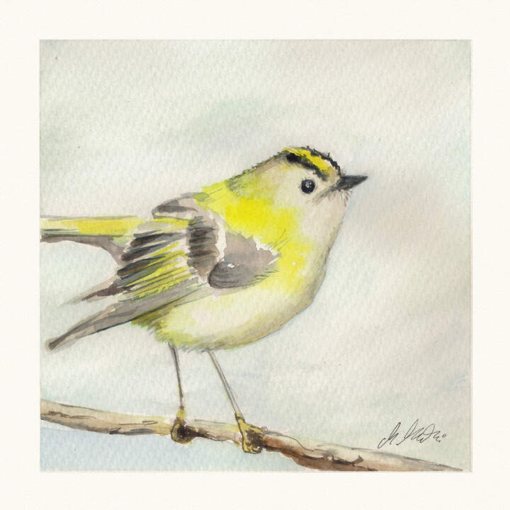 Polish birds - Regulus regulus 绘画, 7.9x7.9 in