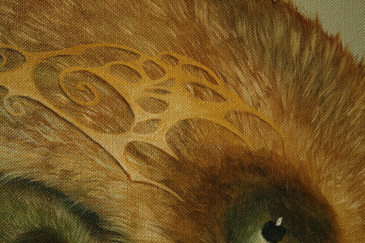 Additional views 3