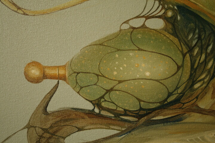 Additional views 5