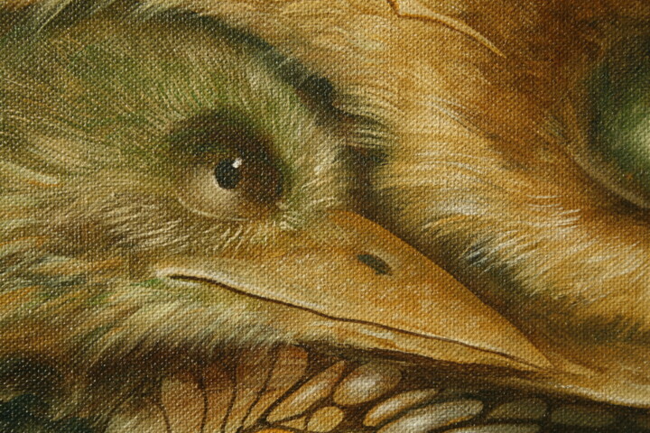 Additional views 6