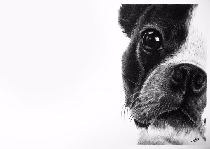 Chien noir 图画, 13.8x19.7 in